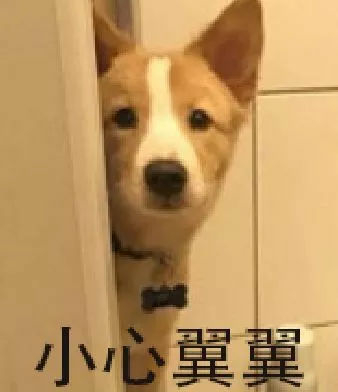别人问我为什么养狗？我是这样答复他的！-12.jpg