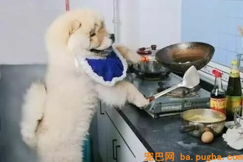 我家要有这样一只狗，给啥都不换-1.jpeg