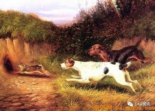 2019年上海世界杯犬展，参赛犬这样分组你看懂了吗？-11.jpeg