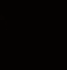 养了一只“小马驹”样的狗狗是种怎样的体验？-11.gif
