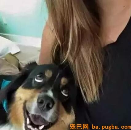 想知道你家狗狗爱不爱你吗？这里有十条爱的尺度，看你家狗占几条！-12.jpeg
