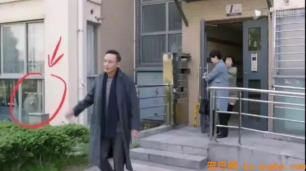 看《都挺好》时，铲屎官不测发现自家狗砸去当了群众演员？-2.jpeg