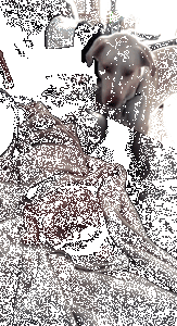 狗会觉得为难吗？-2.gif