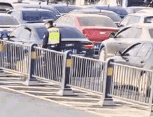 超暖！受伤漂泊狗误入马路，交警将它护在身下走了近200米...-4.gif