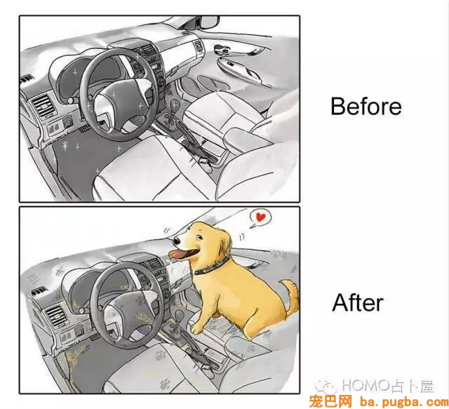 这9种养狗和养狗后的变化，你是不是全中？-4.jpeg