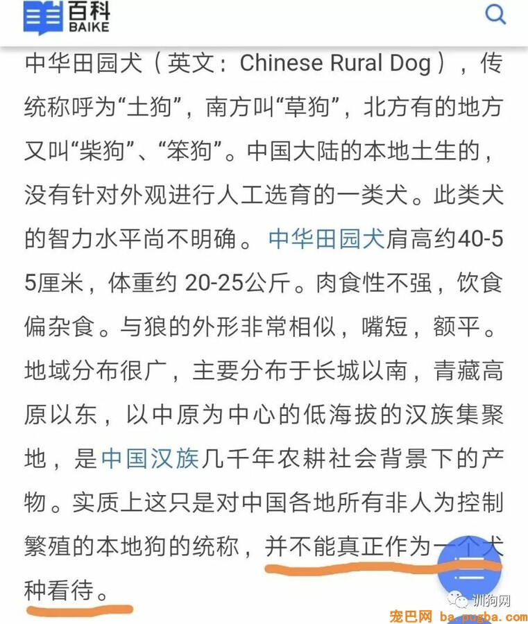 重磅：拟将土狗移出禁养名录，这个有爱的城市又走在了前面！-2.jpeg