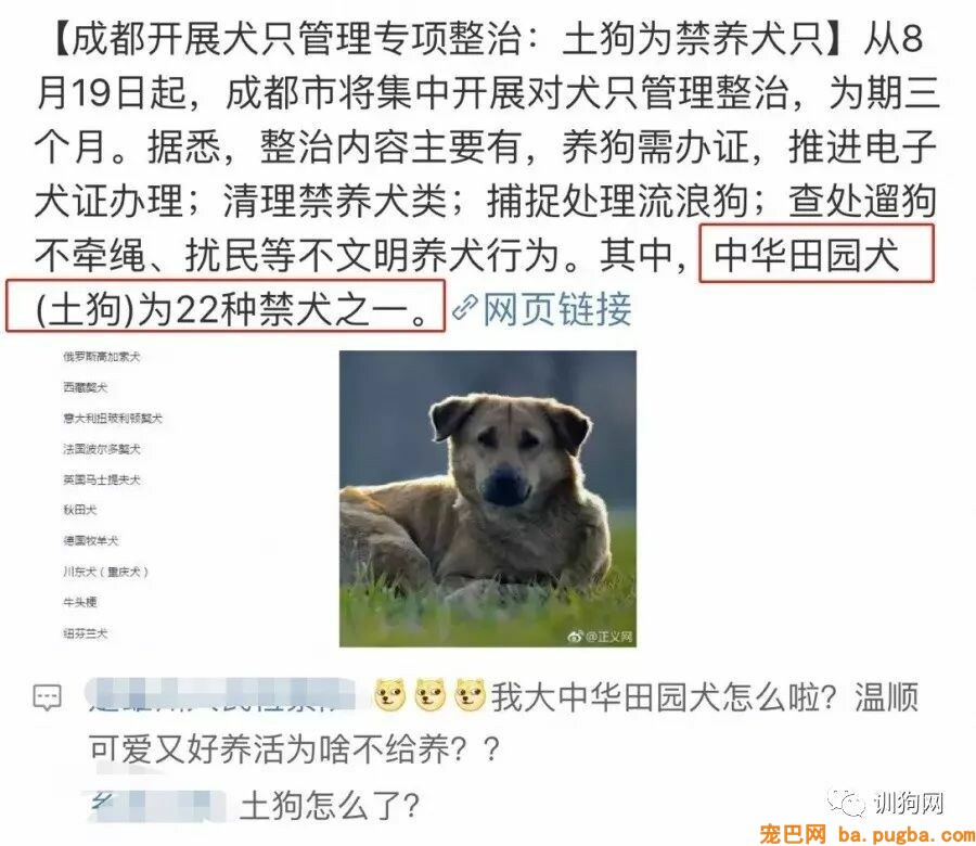 重磅：拟将土狗移出禁养名录，这个有爱的城市又走在了前面！-1.jpeg