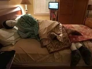 主人一出门，狗狗就自残，为了抚慰焦虑症爱犬，主人做了个“影分身”...-4.jpeg