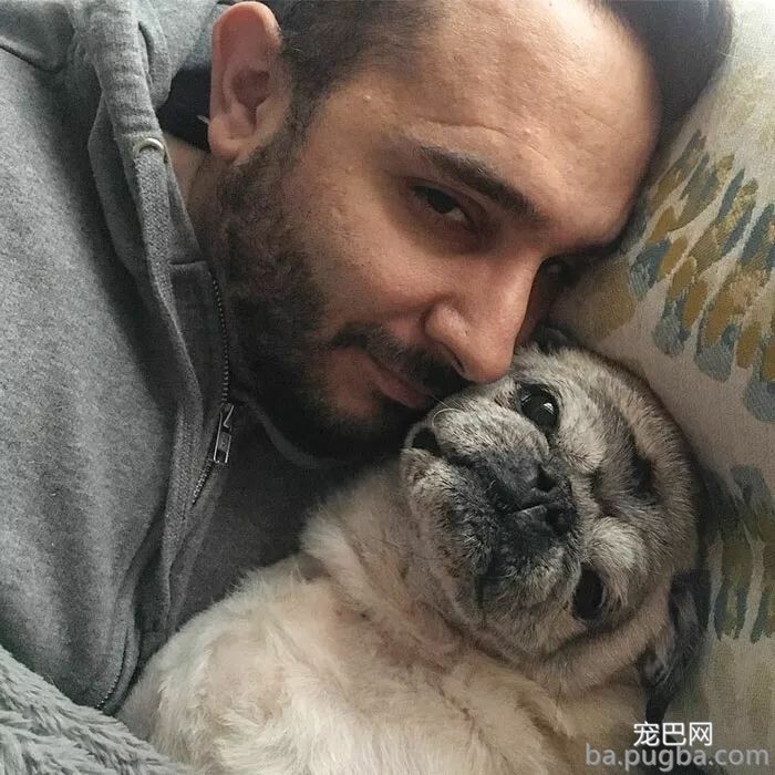 主人一出门，狗狗就自残，为了抚慰焦虑症爱犬，主人做了个“影分身”...-6.jpeg
