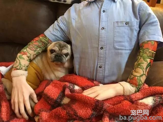 主人一出门，狗狗就自残，为了抚慰焦虑症爱犬，主人做了个“影分身”...-7.jpeg