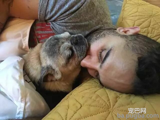 主人一出门，狗狗就自残，为了抚慰焦虑症爱犬，主人做了个“影分身”...-12.jpeg