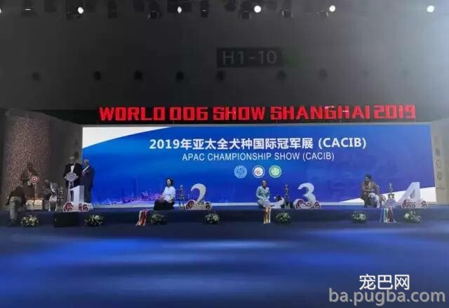 2019年上海世界杯犬展正式拉开序幕-14.jpeg