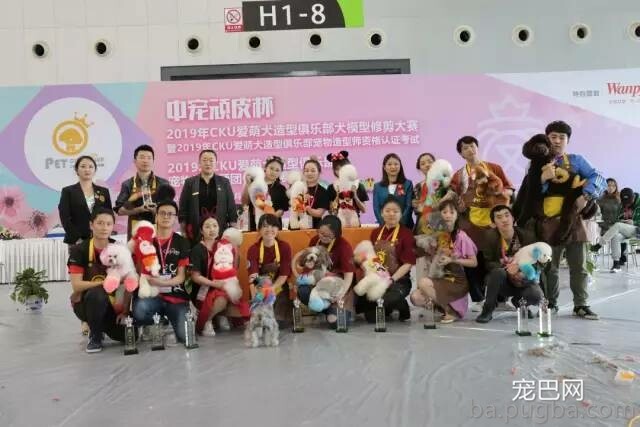 2019年上海世界杯犬展正式拉开序幕-35.jpeg