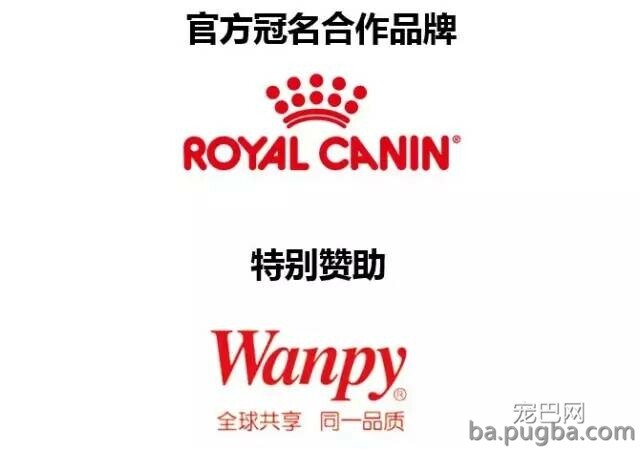 2019年上海世界杯犬展正式拉开序幕-46.jpeg