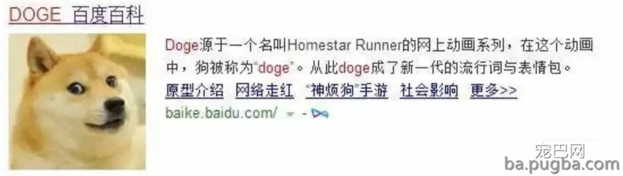 这只狗有多火？全世界超过20亿人在用它做表情包！-3.jpg