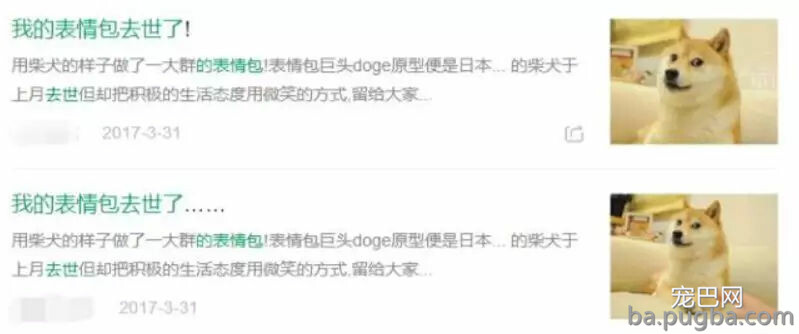 这只狗有多火？全世界超过20亿人在用它做表情包！-10.jpg