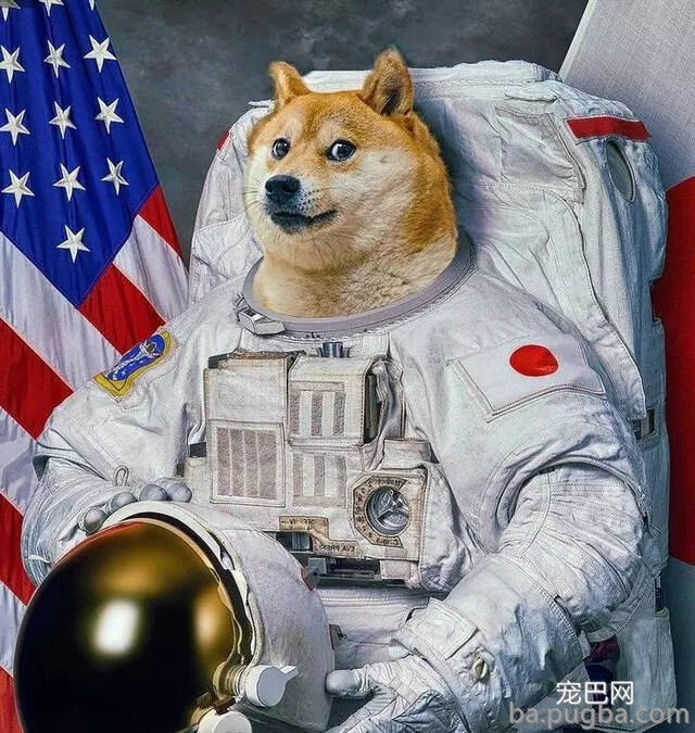 这只狗有多火？全世界超过20亿人在用它做表情包！-7.jpg