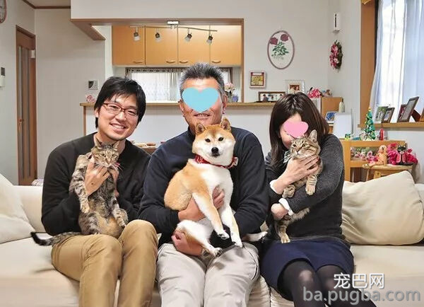 这只狗有多火？全世界超过20亿人在用它做表情包！-16.jpg