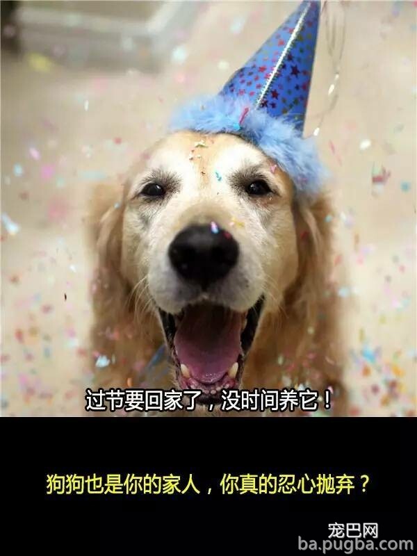 他们抛弃狗狗的十个理由，希望你永远不要说出口！-1.jpeg