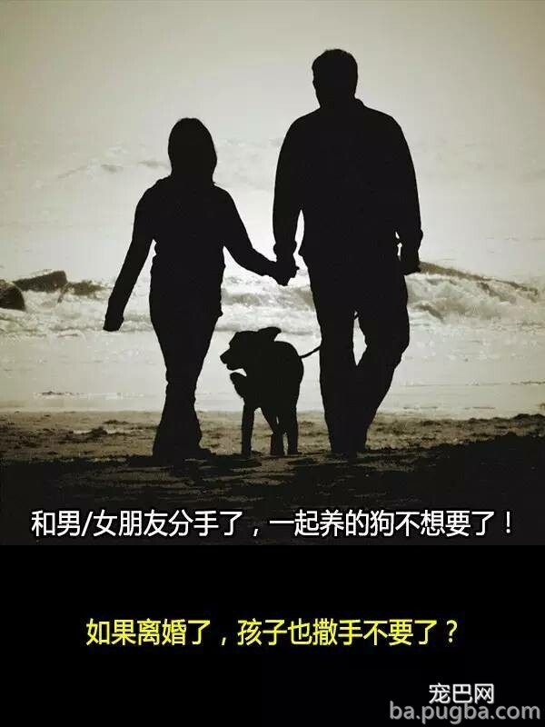 他们抛弃狗狗的十个理由，希望你永远不要说出口！-8.jpeg