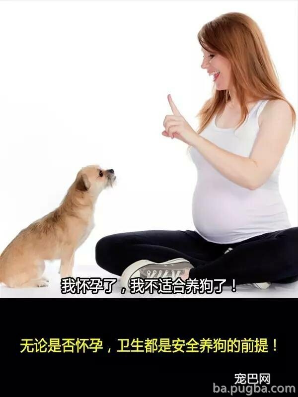 他们抛弃狗狗的十个理由，希望你永远不要说出口！-6.jpeg