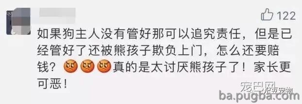 熊孩子拿鞭炮炸狗狗，被狗狗还击咬伤，孩子爸反而索要补偿！-4.jpeg