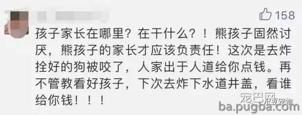 熊孩子拿鞭炮炸狗狗，被狗狗还击咬伤，孩子爸反而索要补偿！-3.jpeg