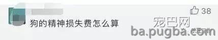 熊孩子拿鞭炮炸狗狗，被狗狗还击咬伤，孩子爸反而索要补偿！-8.jpeg