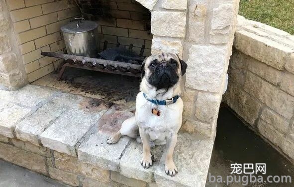 接到老妈求救，说她被巴哥给锁在了车外，看到照片时笑喷了！-1.jpeg