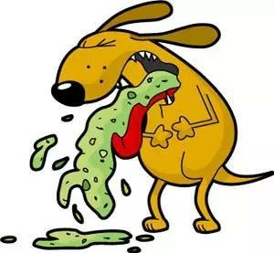 狗狗呕吐是怎么回事，怎么办？-1.jpeg