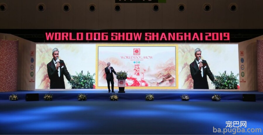 2019年上海世界杯犬展正赛开赛！-10.jpeg