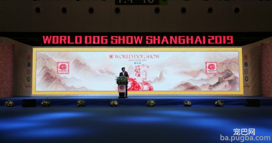 2019年上海世界杯犬展正赛开赛！-9.jpeg