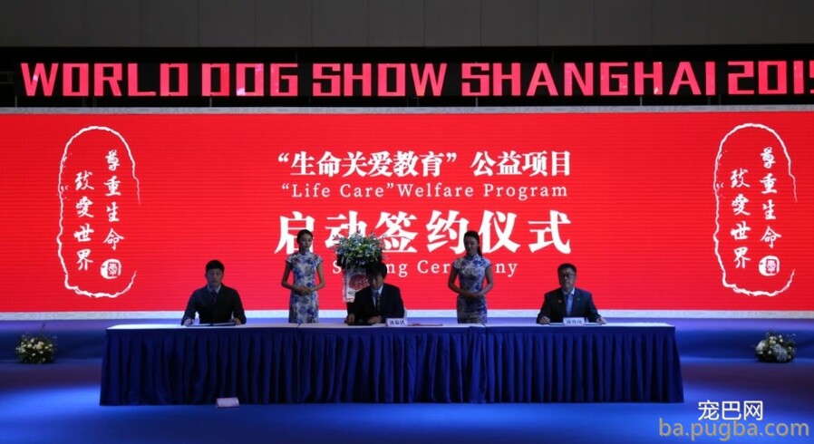 2019年上海世界杯犬展正赛开赛！-13.jpeg