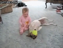我家狗爱多管闲事咋整？一天到晚都瞎操心...-10.gif