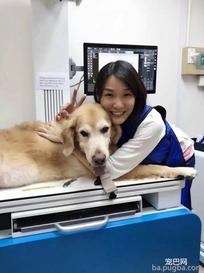 狗狗被告知只剩一个月生命，主人用尽千方百计竟让它活了下来！-4.jpg