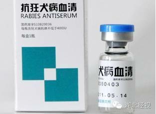 养狗的朋友必然要出格注意-2.jpeg