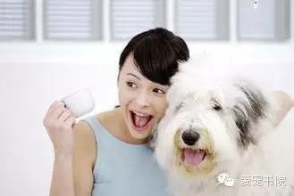养狗的几个误区 你是不是误入过-1.jpeg