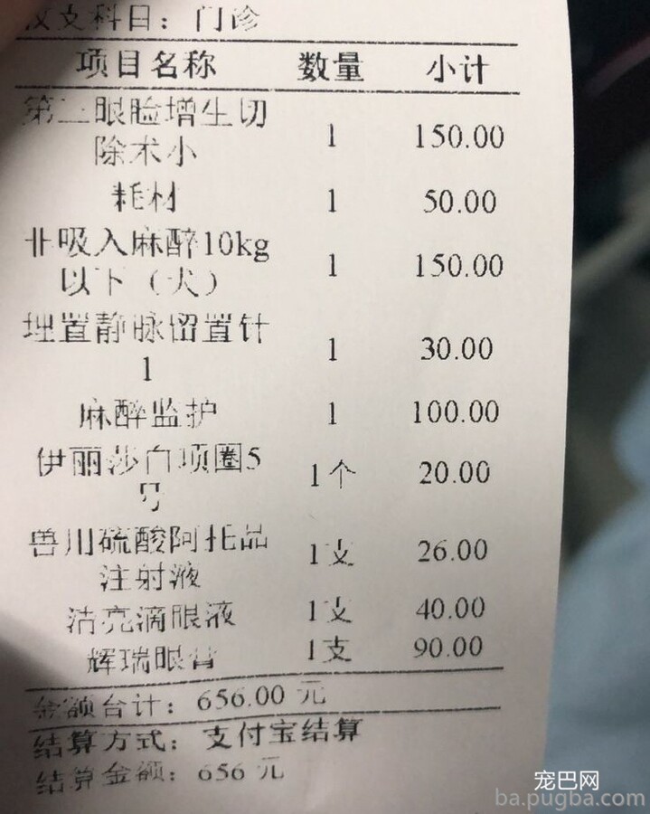 第三眼睑脱出