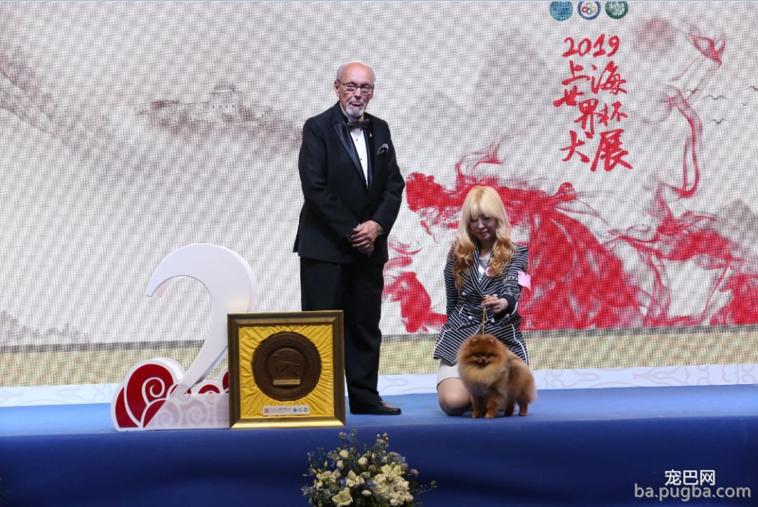 2019年上海世界杯犬展全场总冠军诞生！-6.jpeg