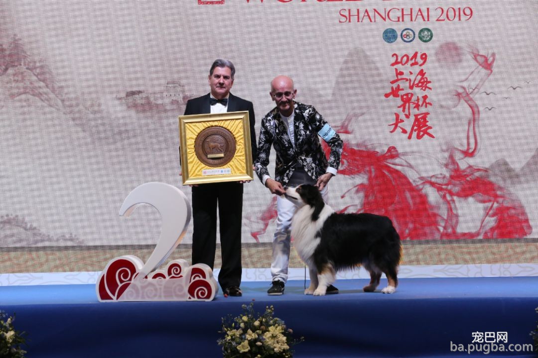 2019年上海世界杯犬展全场总冠军诞生！-10.jpeg