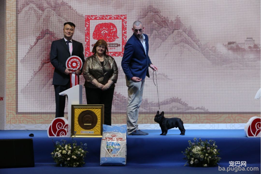 2019年上海世界杯犬展全场总冠军诞生！-17.jpeg