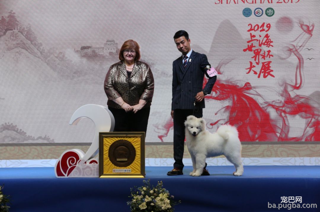 2019年上海世界杯犬展全场总冠军诞生！-18.jpeg