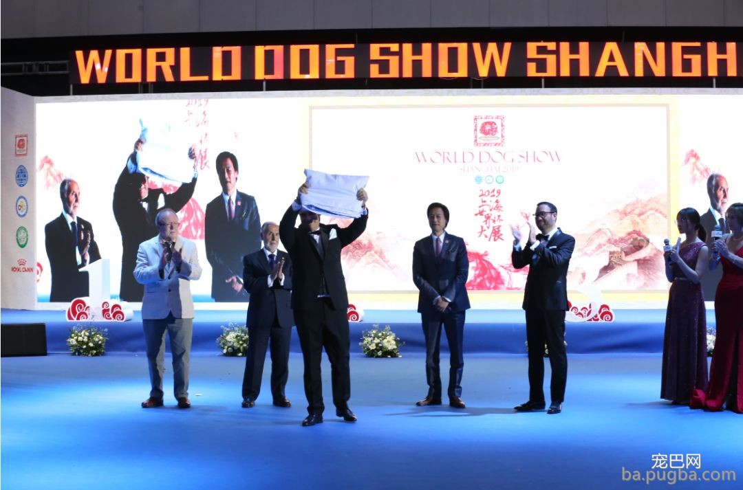 2019年上海世界杯犬展全场总冠军诞生！-22.jpeg