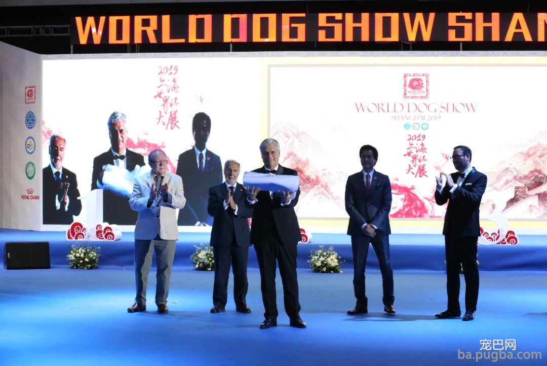 2019年上海世界杯犬展全场总冠军诞生！-23.jpeg