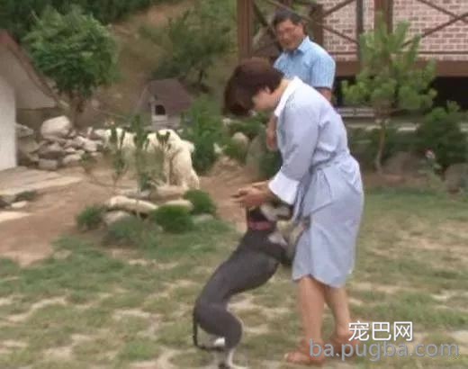漂泊狗四年风雨中，坚守马路等待主人，终等到了了那个他！-6.jpeg