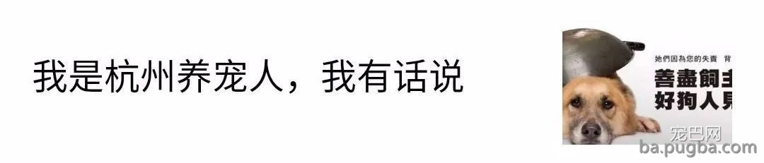 杭州养狗令下的事件！理性合理的目光来看如今的问题-2.jpeg