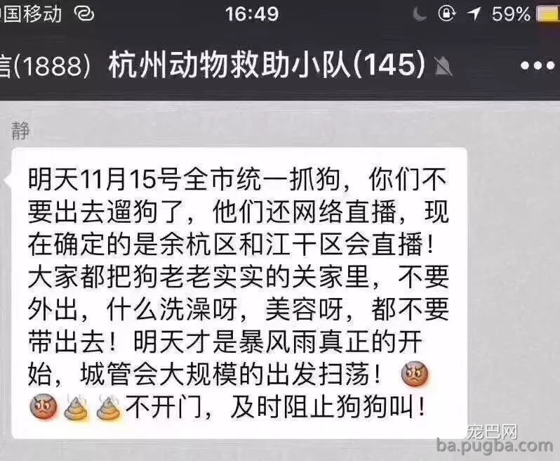 杭州养狗令下的事件！理性合理的目光来看如今的问题-5.jpeg