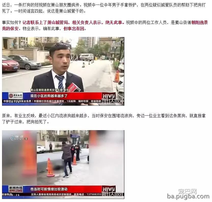 杭州养狗令下的事件！理性合理的目光来看如今的问题-10.jpeg