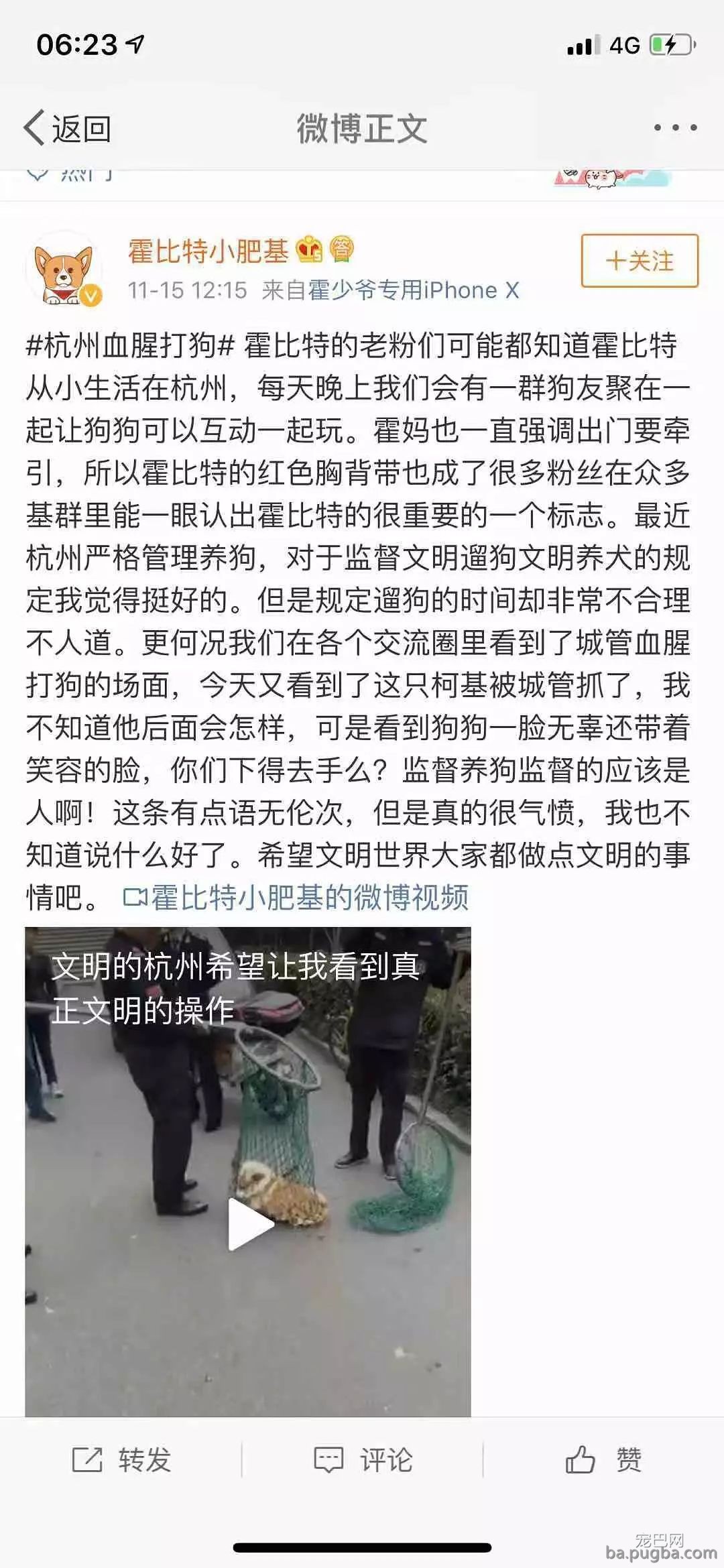 杭州养狗令下的事件！理性合理的目光来看如今的问题-13.jpeg
