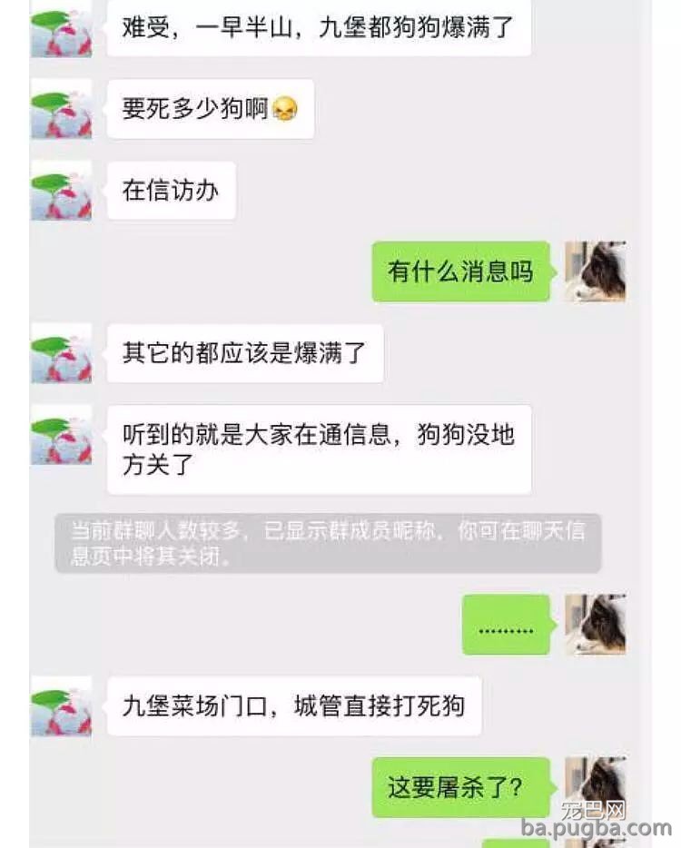 杭州养狗令下的事件！理性合理的目光来看如今的问题-14.jpeg